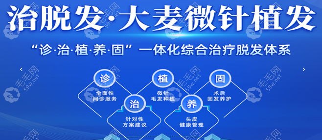 大麥微針植發優惠